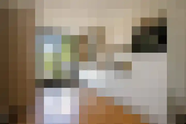 Schoolstraat 51 Bergambacht thumbnail 4
