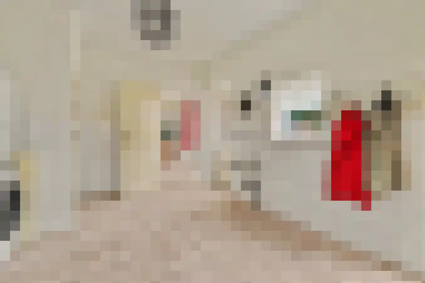 Schoolstraat 51 Moergestel thumbnail 19
