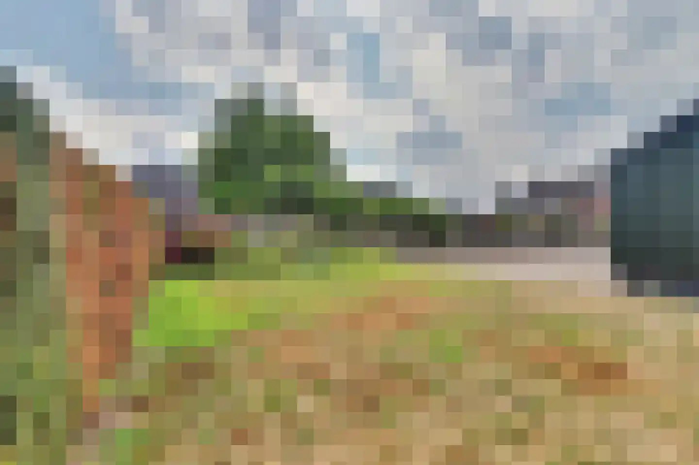 Schoolstraat 51 Moergestel thumbnail 32