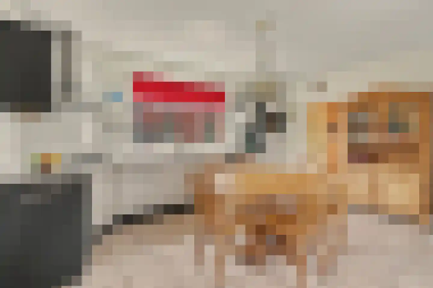 Schoolstraat 51 Moergestel thumbnail 5