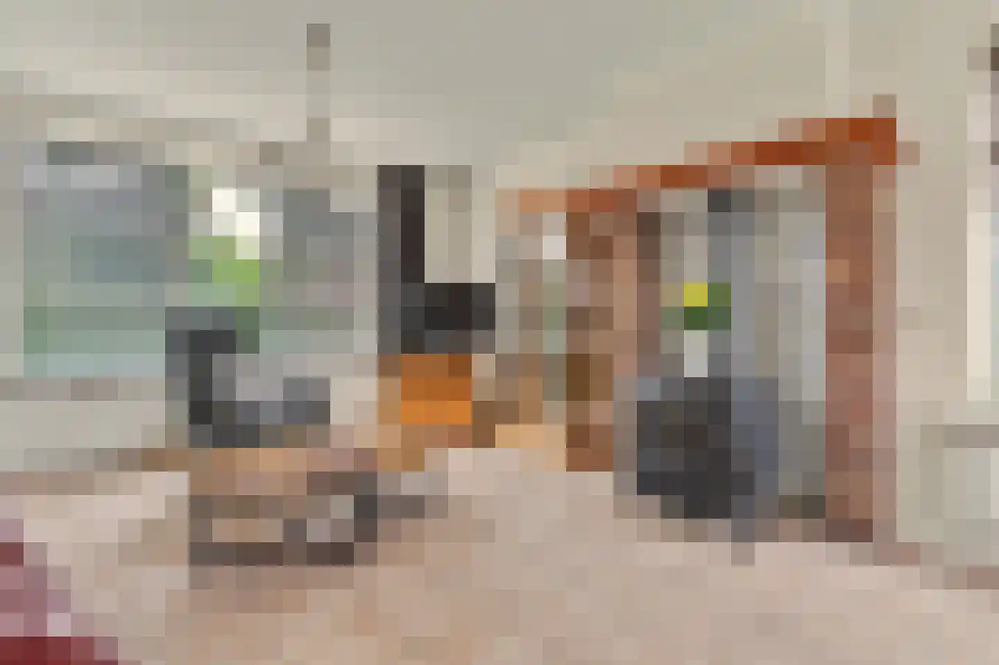 Schoolstraat 51 Moergestel thumbnail 9