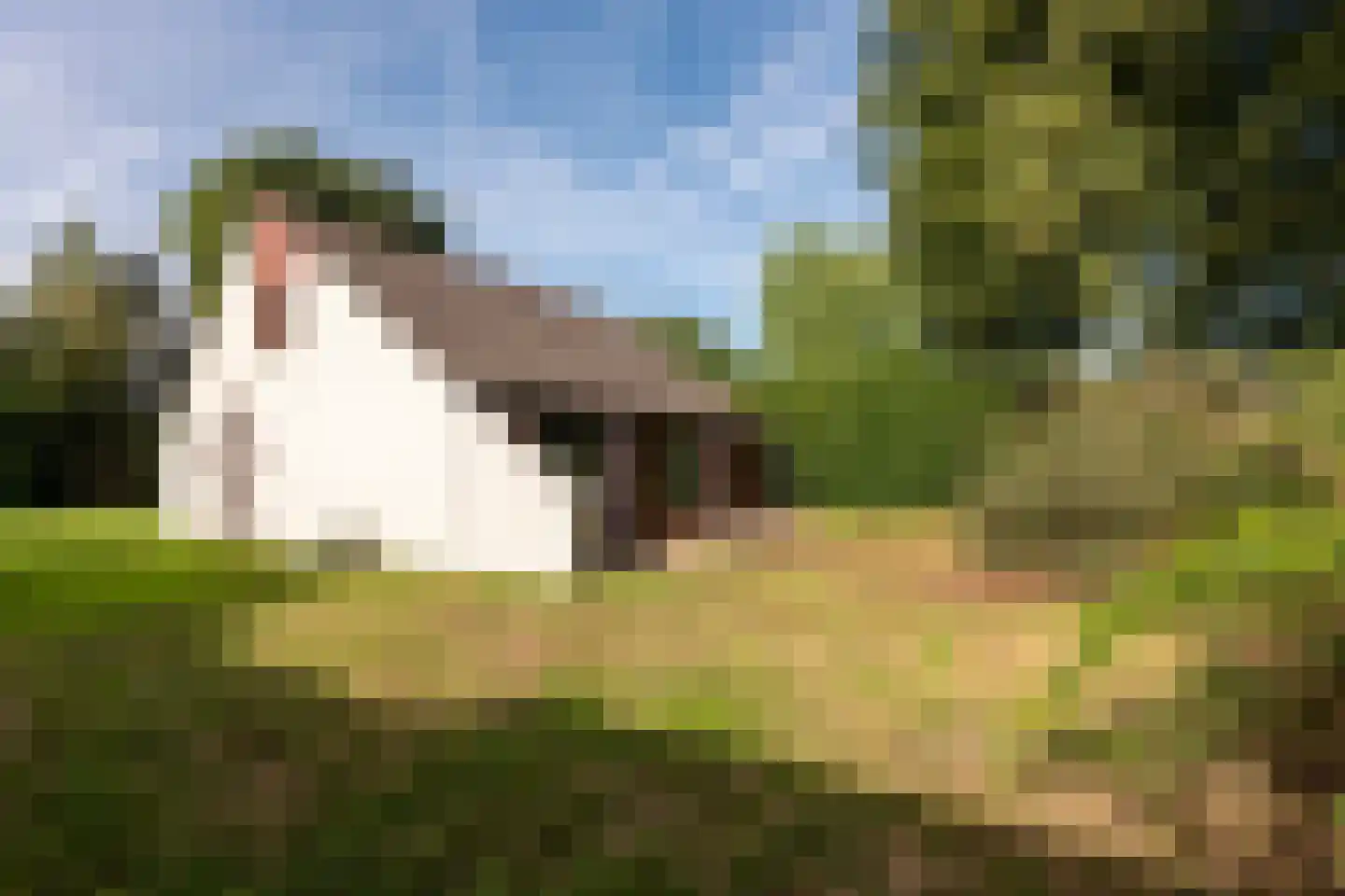 Schoolstraat 53 Bovensmilde thumbnail 18