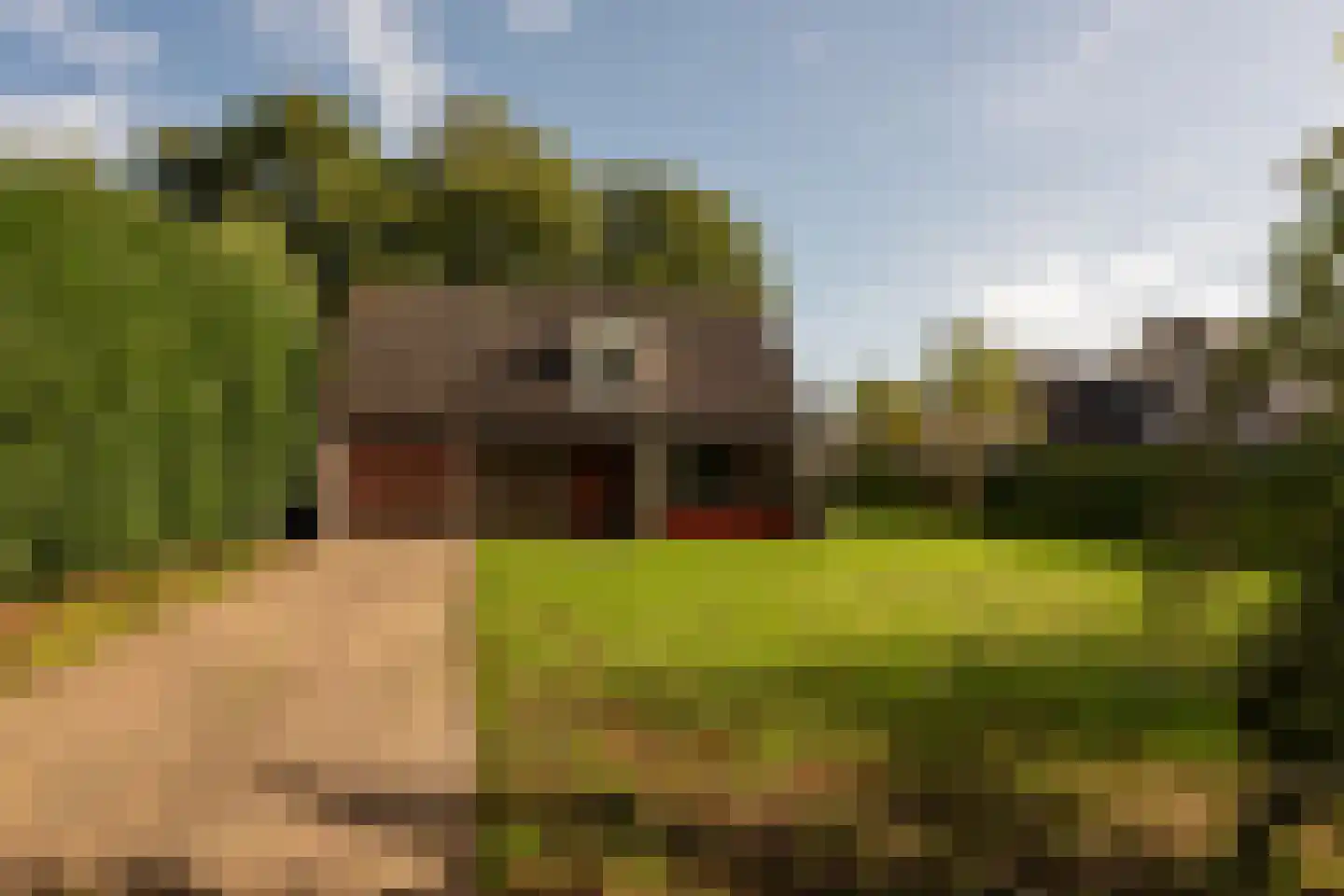 Schoolstraat 53 Bovensmilde thumbnail 20