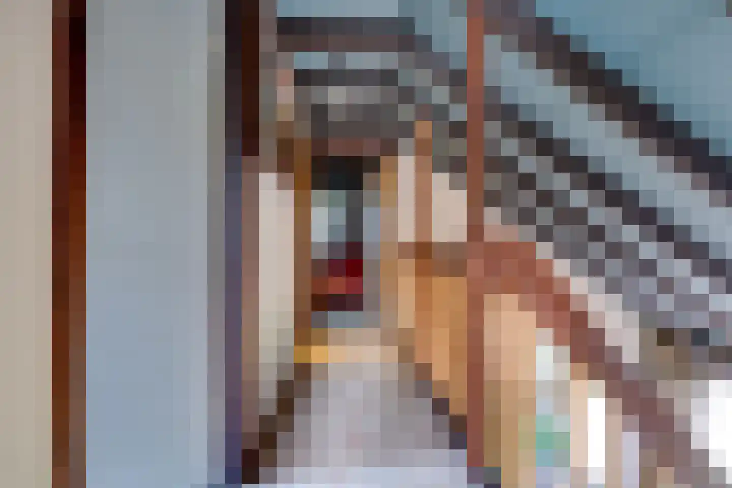 Schoolstraat 53 Bovensmilde thumbnail 9