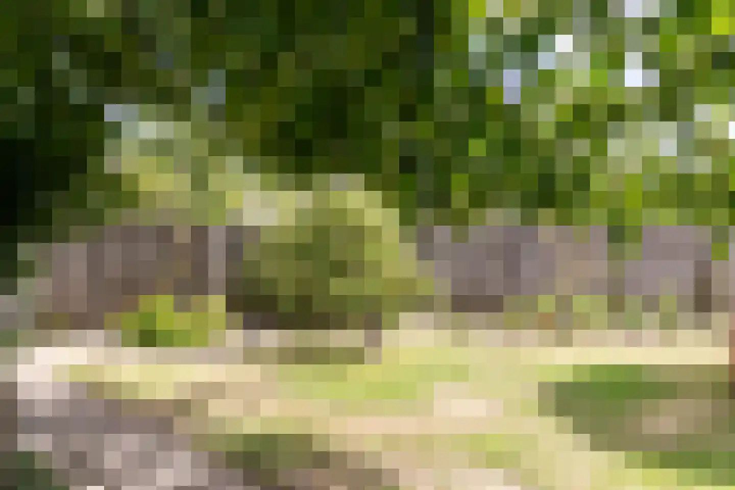 Schoolstraat 53 Moergestel thumbnail 4
