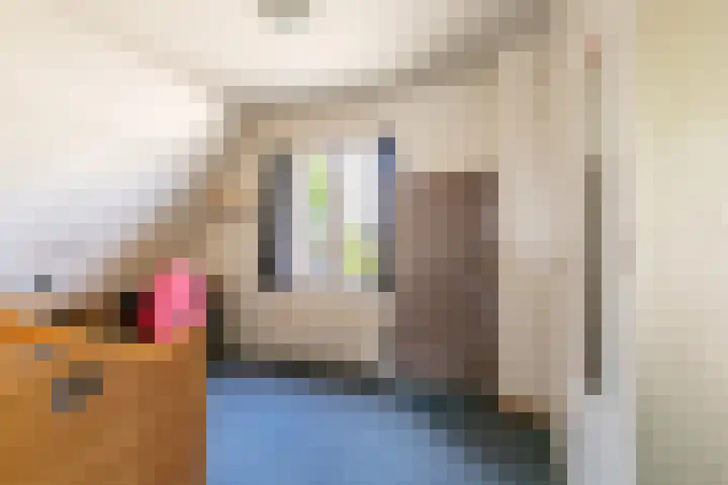 Schoolstraat 53 Moergestel thumbnail 45