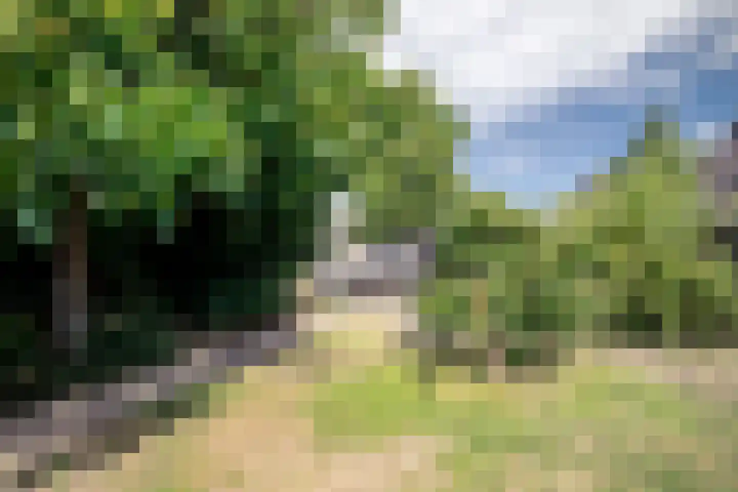 Schoolstraat 53 Moergestel thumbnail 55