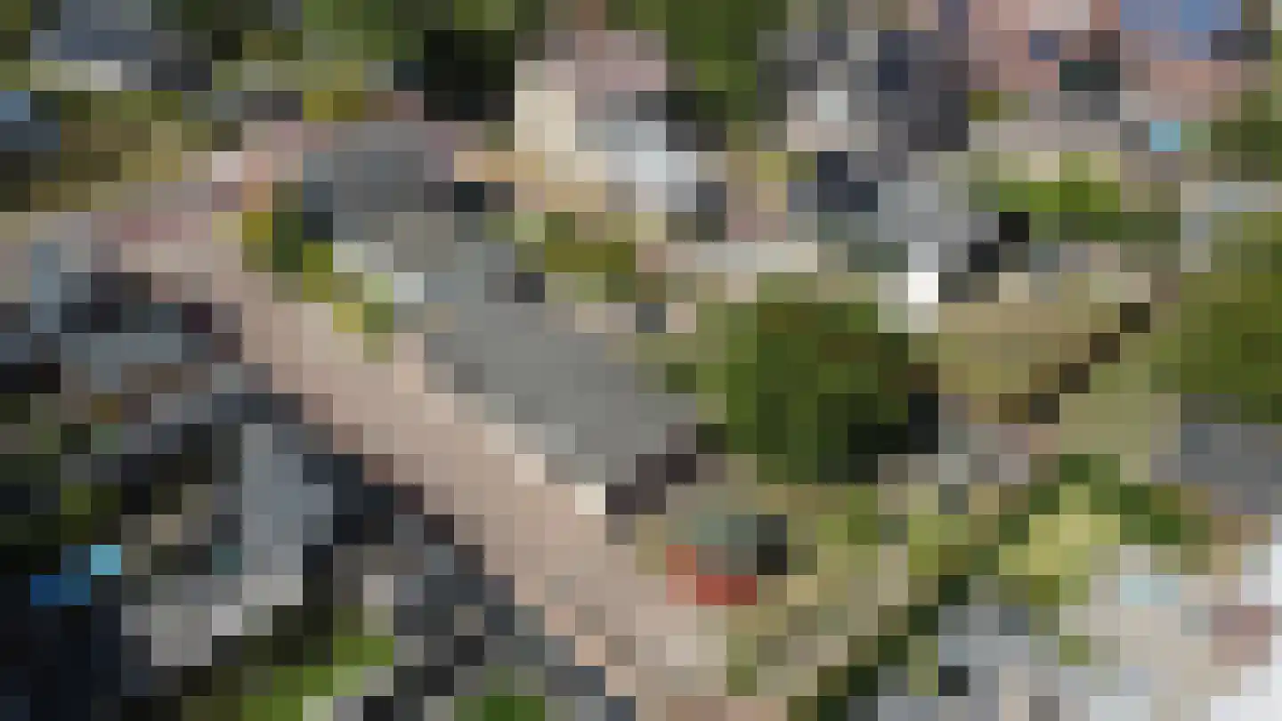 Schoolstraat 53 Moergestel thumbnail 7
