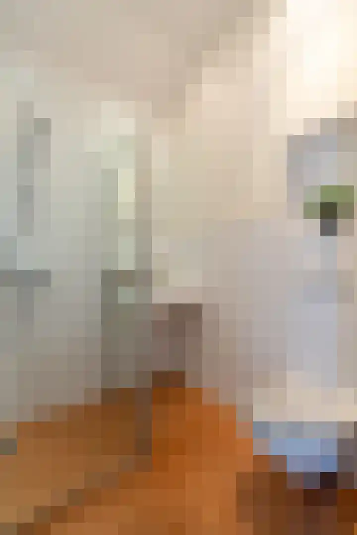 Schoolstraat 53 Wassenaar thumbnail 22