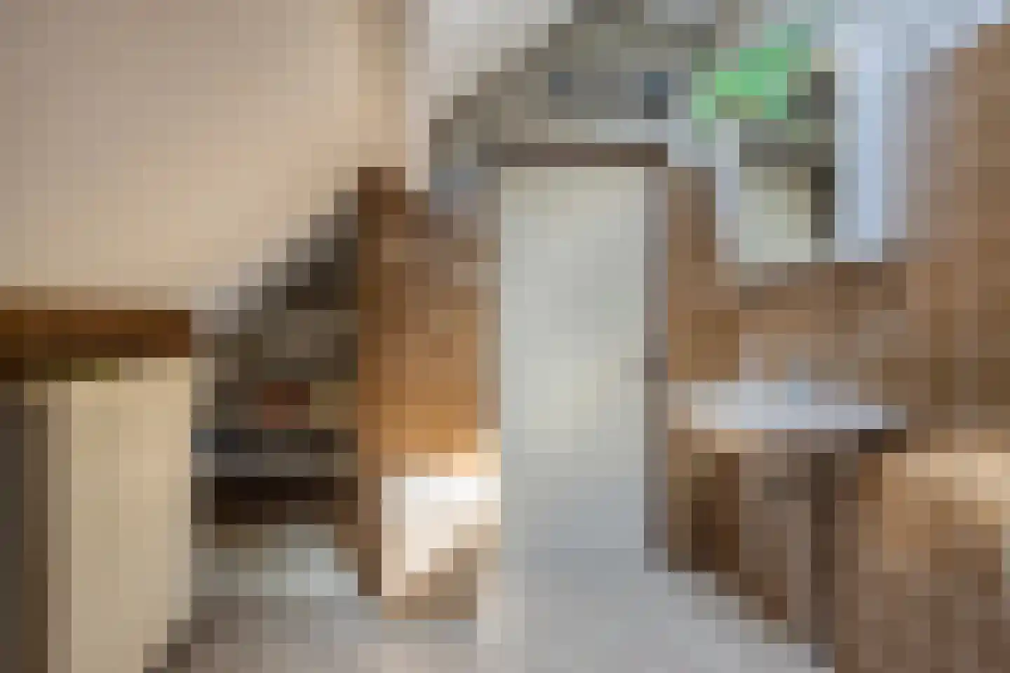 Schoolstraat 54 Nieuw-Vossemeer thumbnail 34