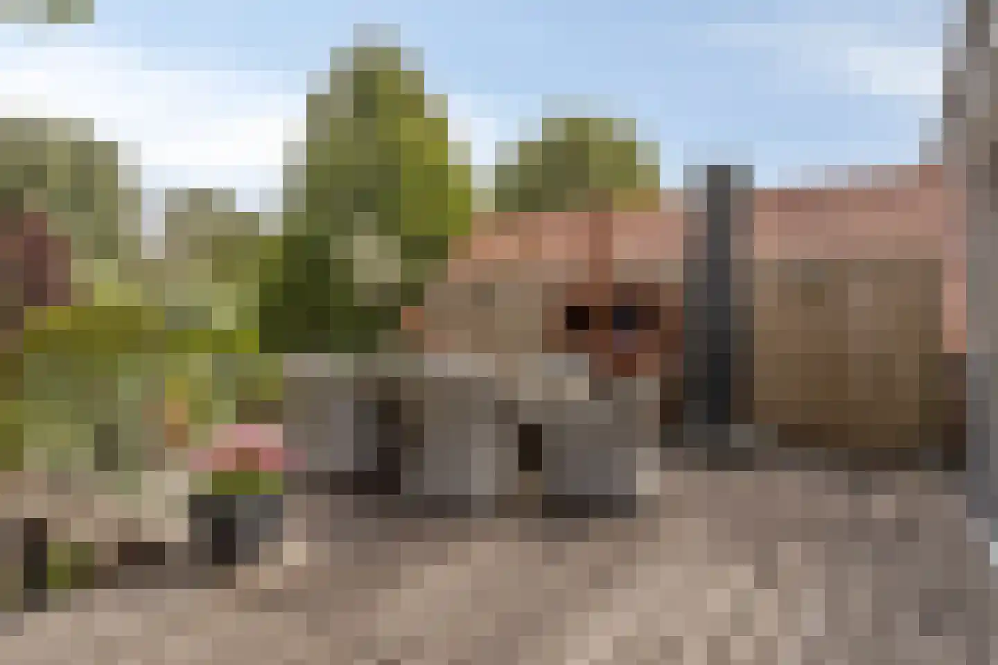 Schoolstraat 54 Nieuw-Vossemeer thumbnail 37