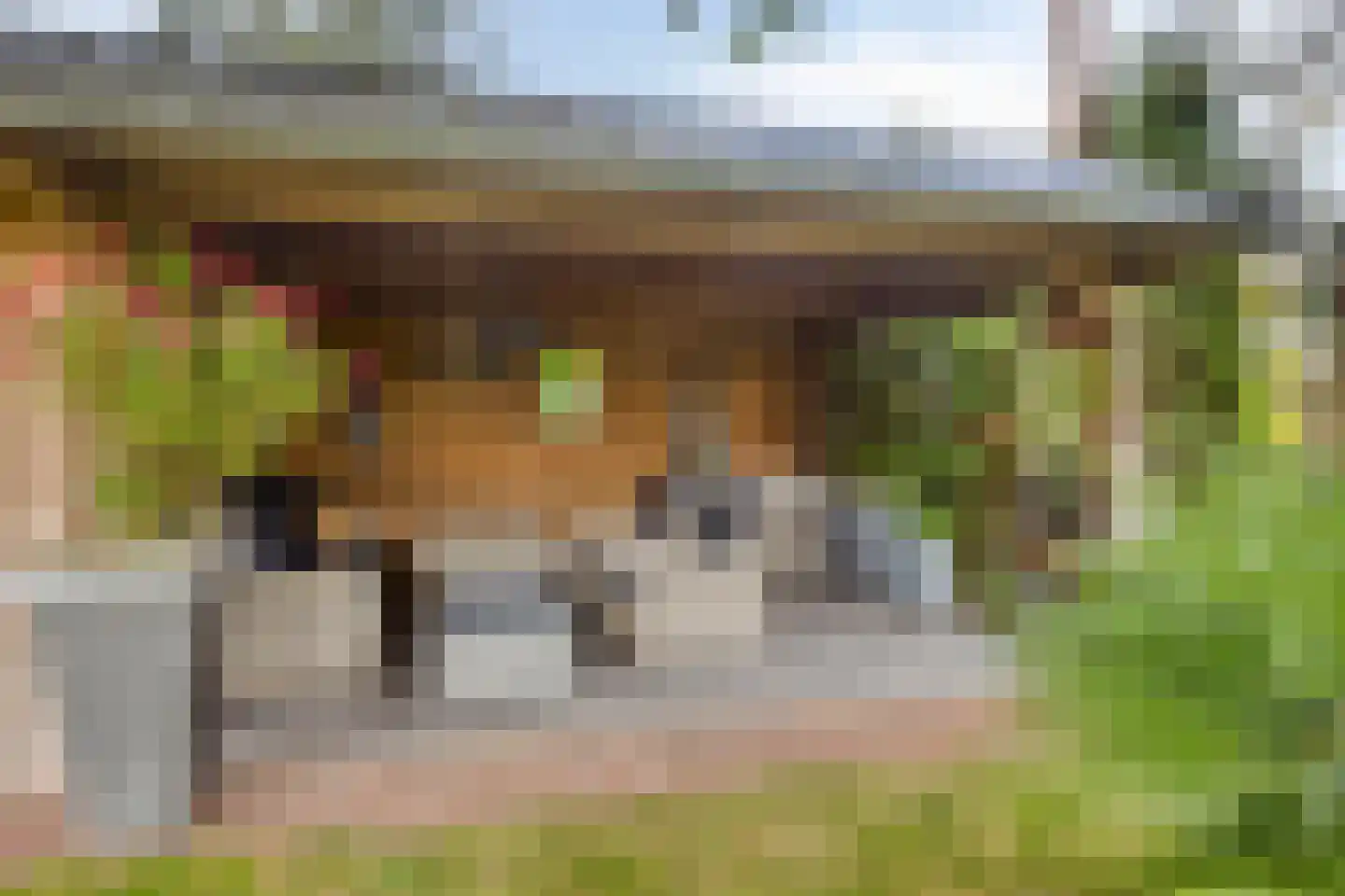 Schoolstraat 54 Nieuw-Vossemeer thumbnail 40