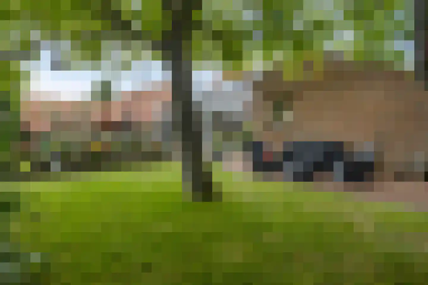 Schoolstraat 54 Nieuw-Vossemeer thumbnail 41