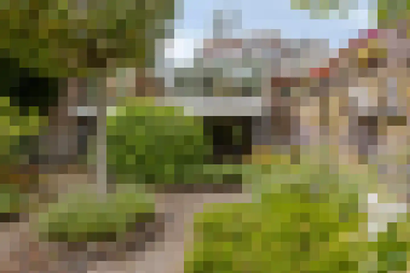 Schoolstraat 54 Nieuw-Vossemeer thumbnail 45