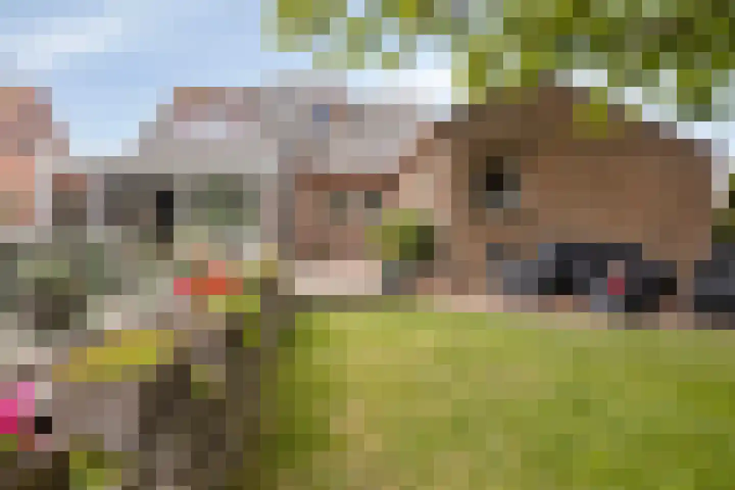 Schoolstraat 54 Nieuw-Vossemeer thumbnail 46