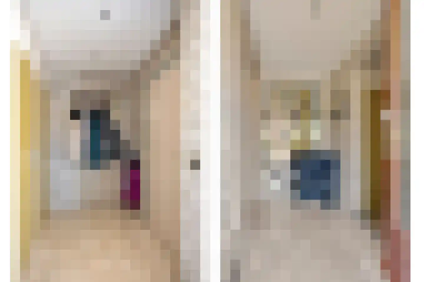 Schoolstraat 54 Nieuw-Vossemeer thumbnail 6