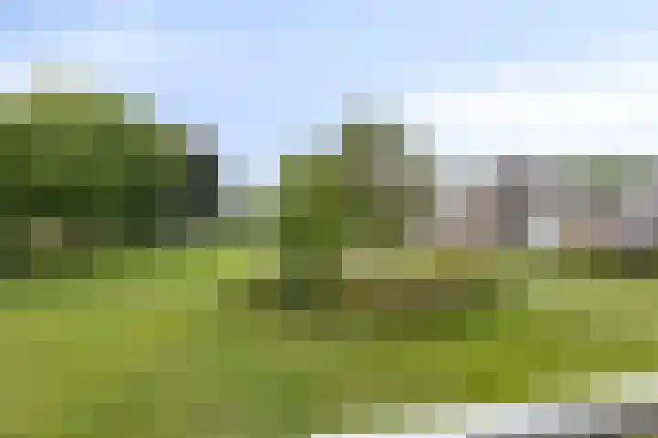 Schoolstraat 54 Zuidlaren thumbnail 25