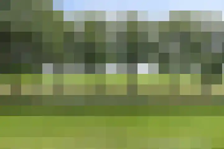 Schoolstraat 54 Zuidlaren thumbnail 5