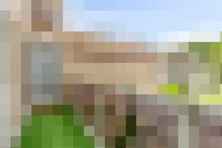 Schoolstraat 54 Zuidlaren thumbnail 6