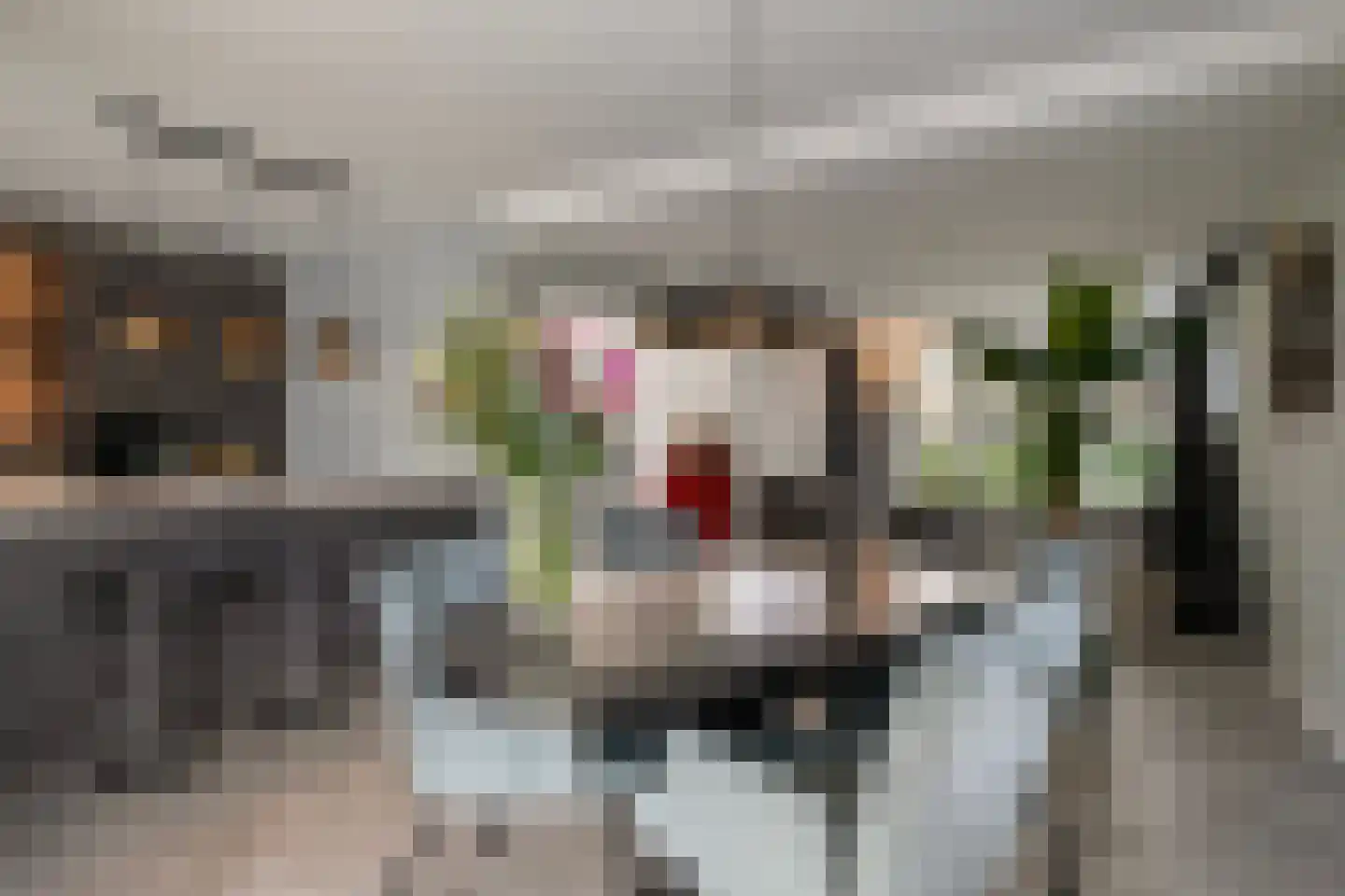 Schoolstraat 55 Beek en Donk thumbnail 22