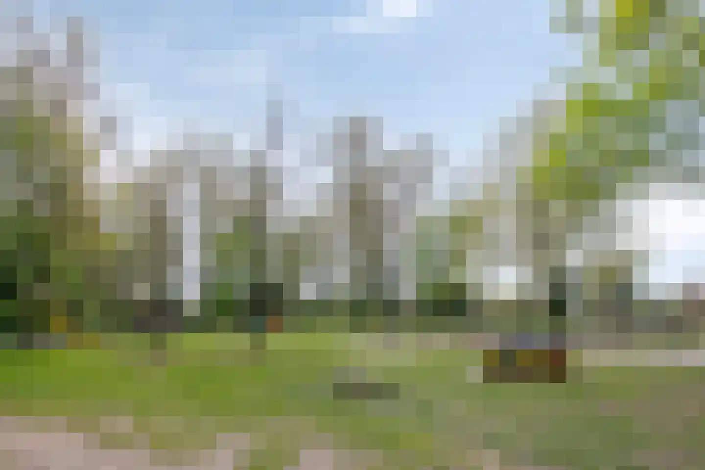 Schoolstraat 55 Beek en Donk thumbnail 52