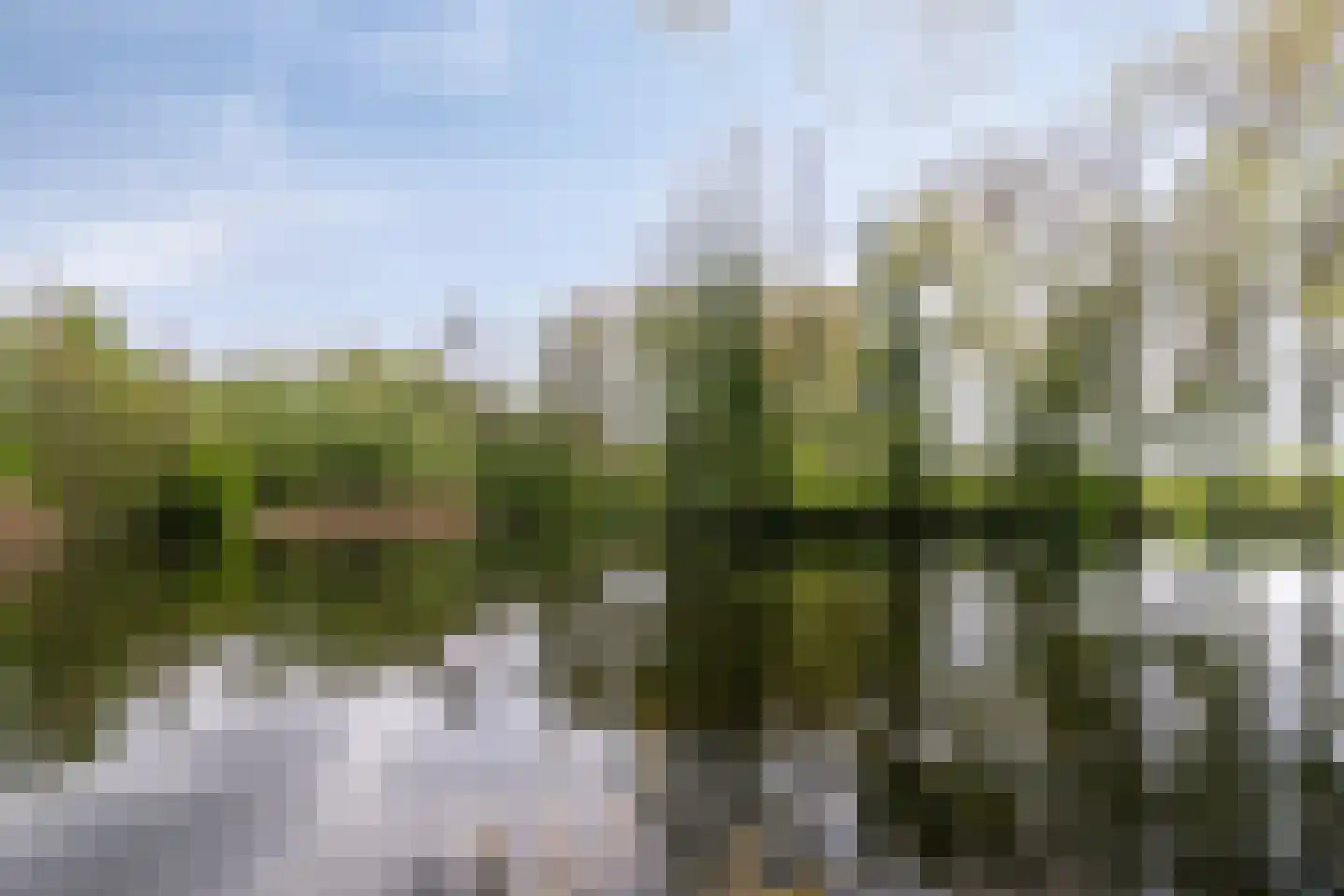 Schoolstraat 55 Beek en Donk thumbnail 54