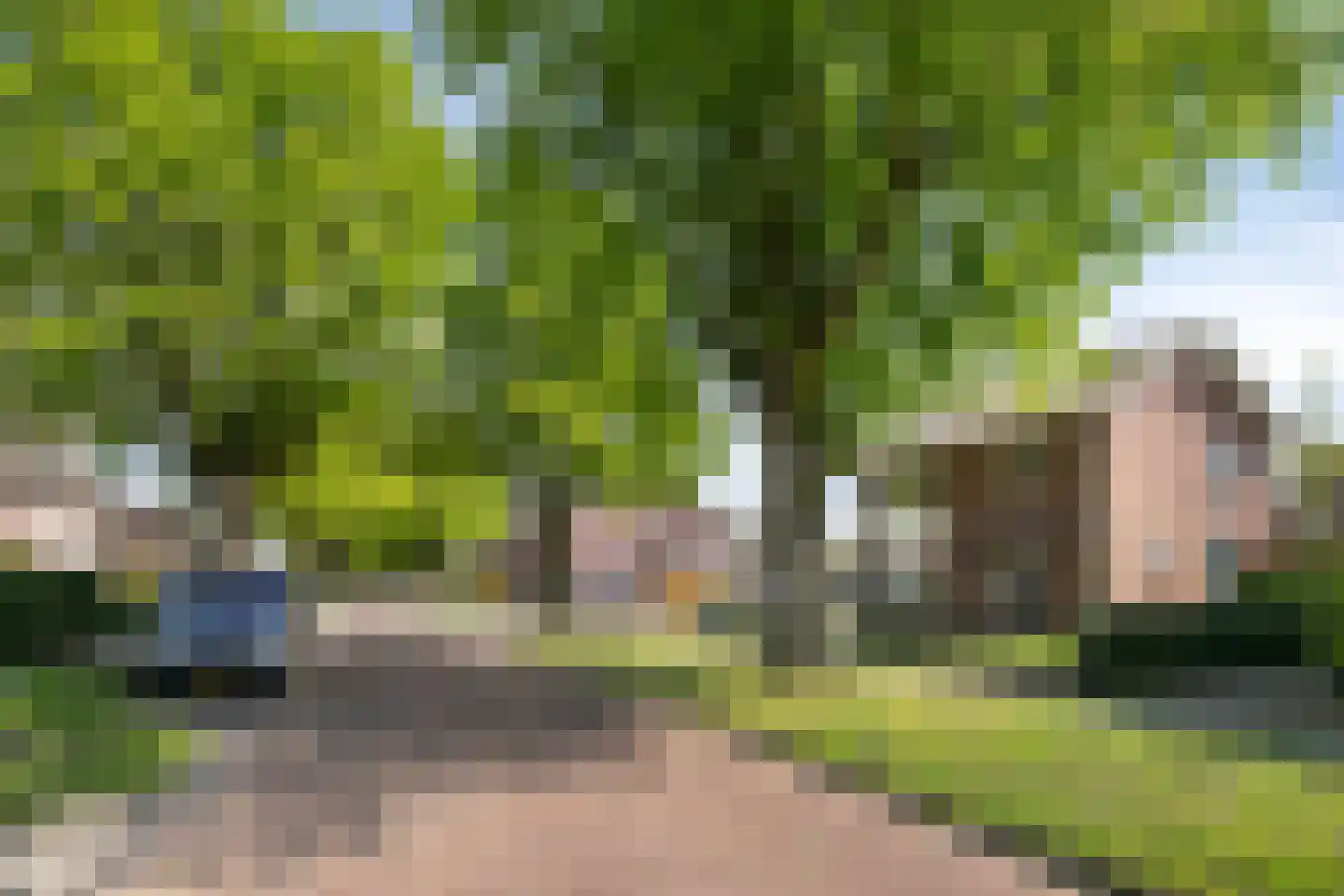 Schoolstraat 55 Beek en Donk thumbnail 6