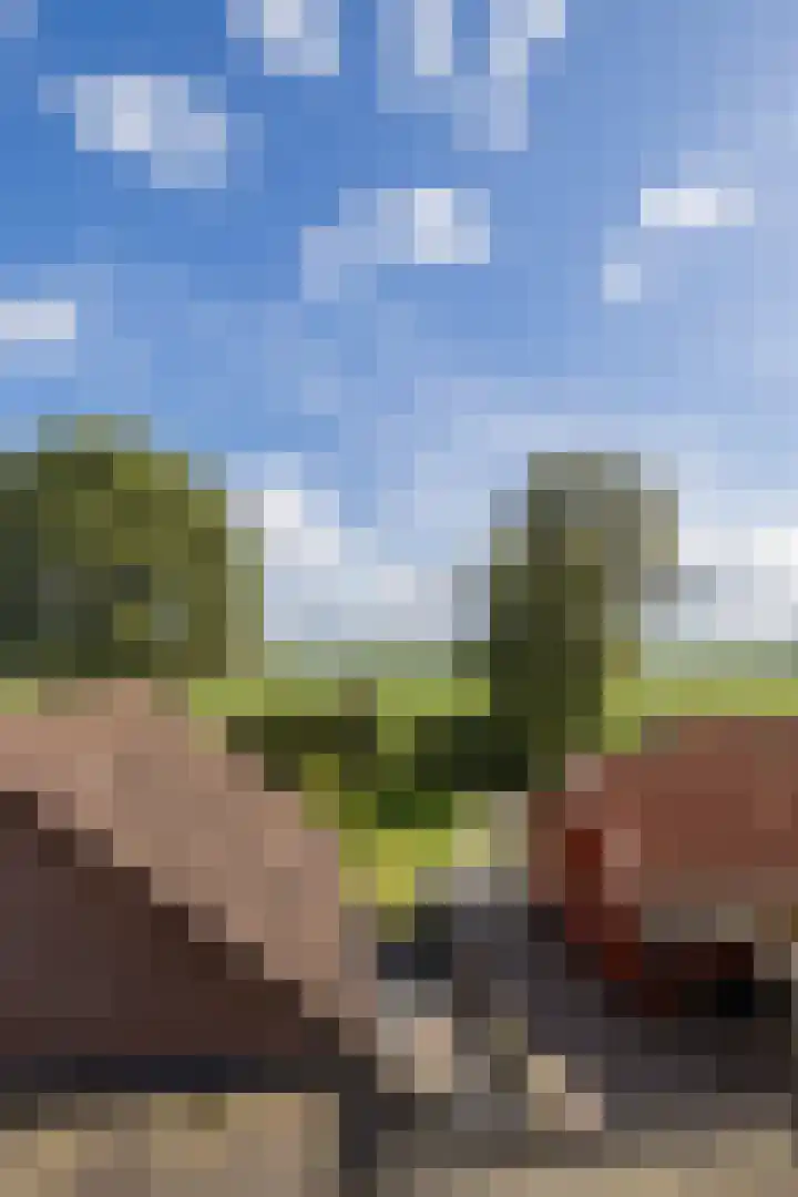 Schoolstraat 55 Geerdijk thumbnail 48