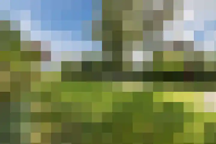 Schoolstraat 55 Geerdijk thumbnail 5