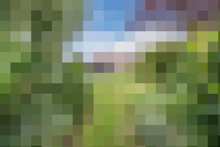 Schoolstraat 55 Geerdijk thumbnail 6