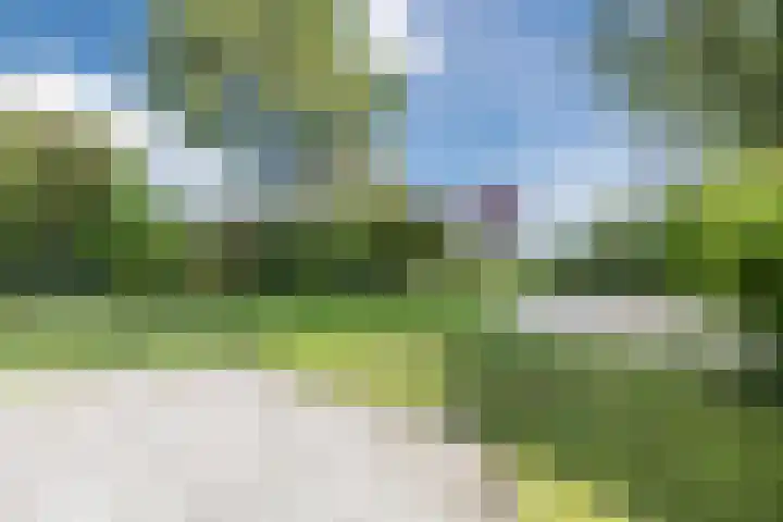 Schoolstraat 55 Geerdijk thumbnail 64