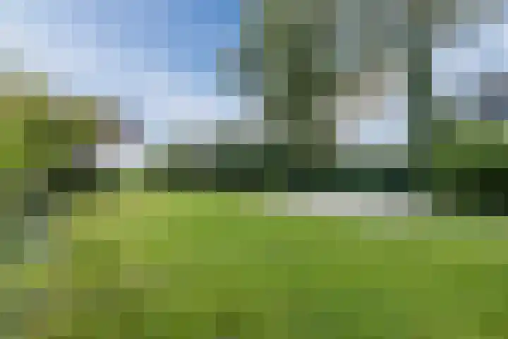 Schoolstraat 55 Geerdijk thumbnail 66