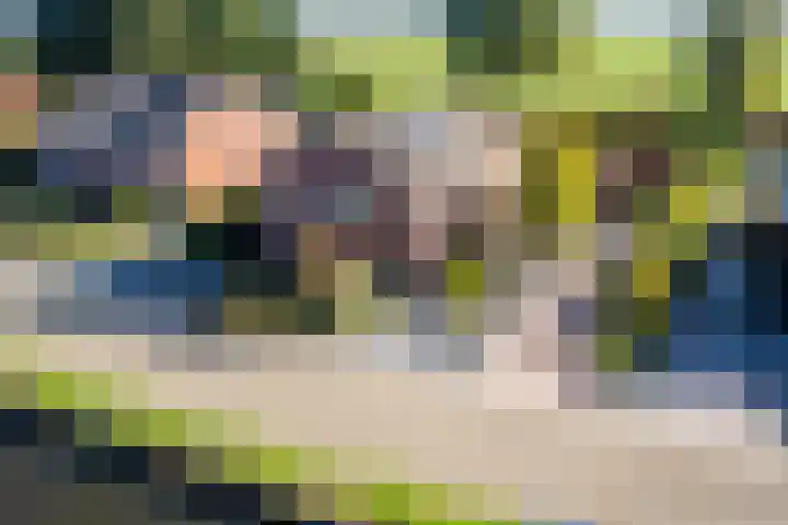 Schoolstraat 55 Geerdijk thumbnail 78
