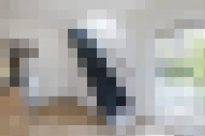 Schoolstraat 55 Geerdijk thumbnail 8