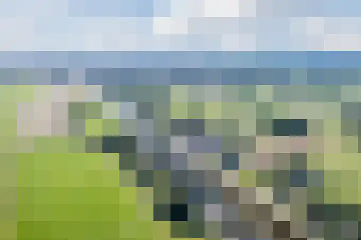 Schoolstraat 55 Geerdijk thumbnail 85