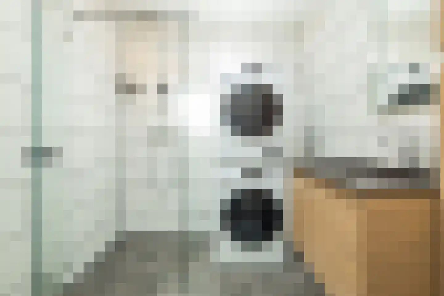 Schoolstraat 55 Noordwijkerhout thumbnail 6