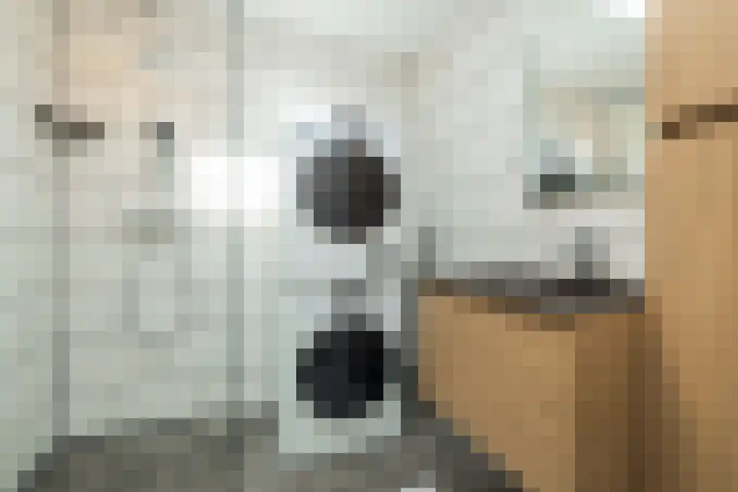 Schoolstraat 55 Noordwijkerhout thumbnail 7