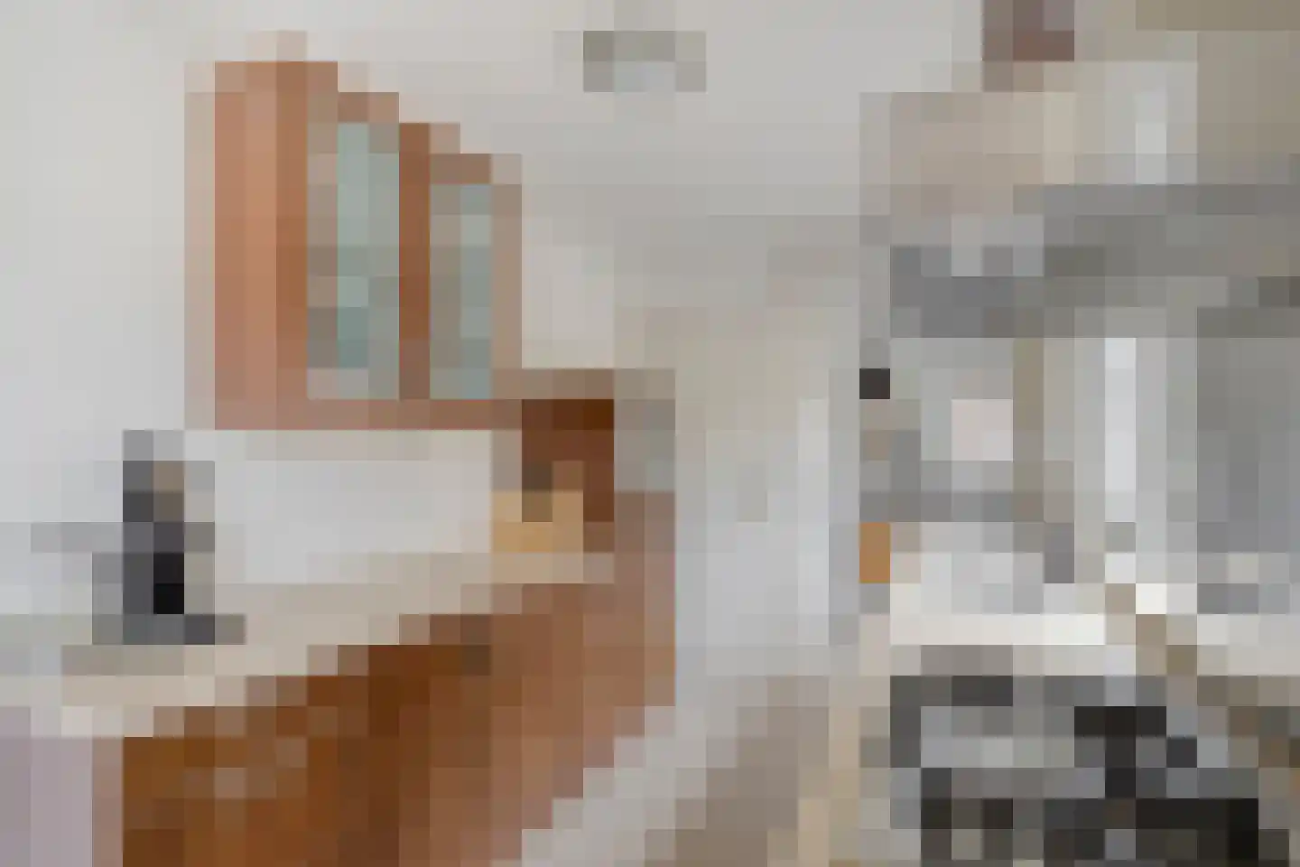 Schoolstraat 55 Oss thumbnail 11