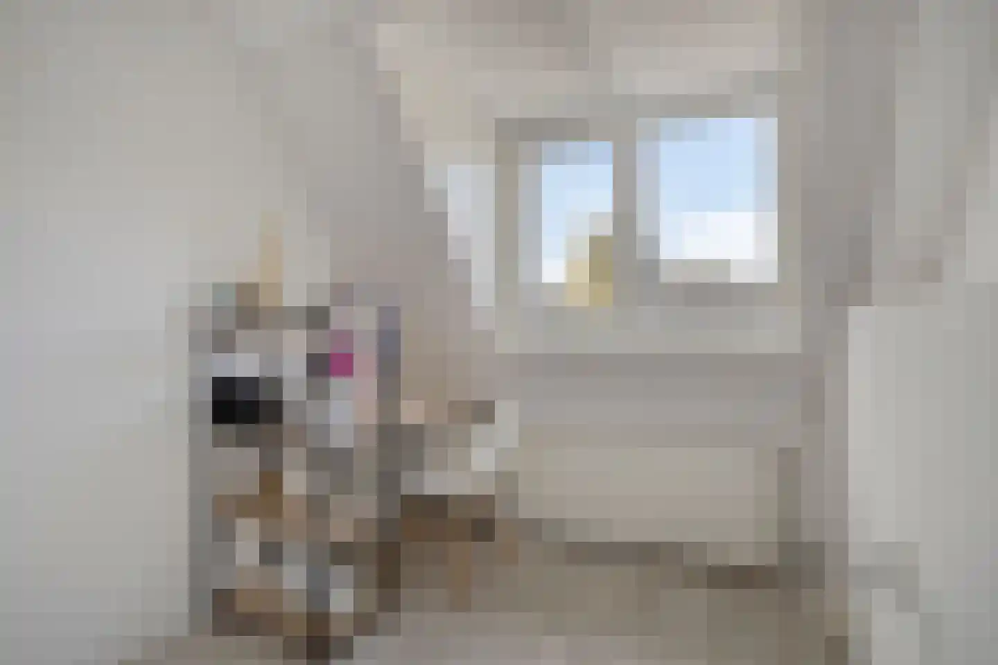 Schoolstraat 55 Oss thumbnail 21
