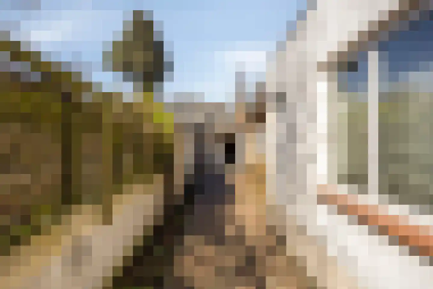 Schoolstraat 55 Oss thumbnail 31
