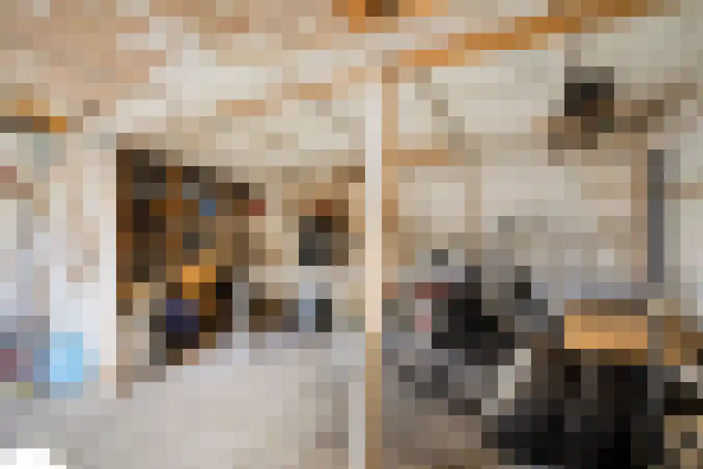 Schoolstraat 55 Oss thumbnail 32