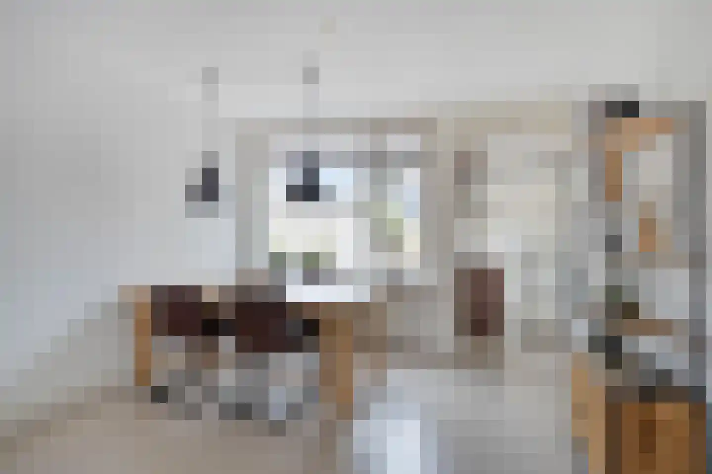 Schoolstraat 55 Oss thumbnail 5