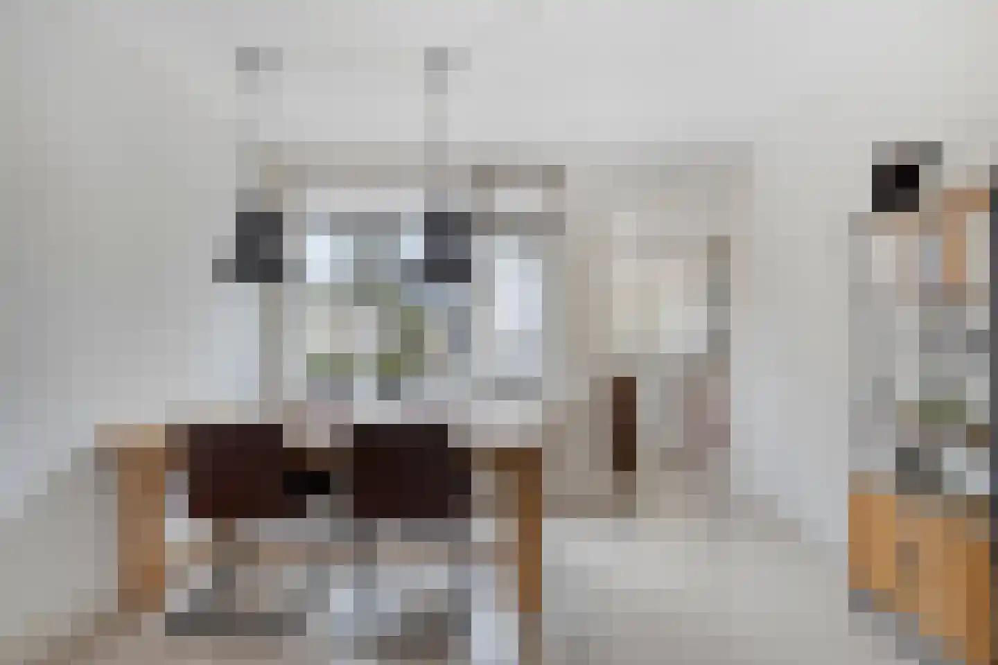 Schoolstraat 55 Oss thumbnail 6