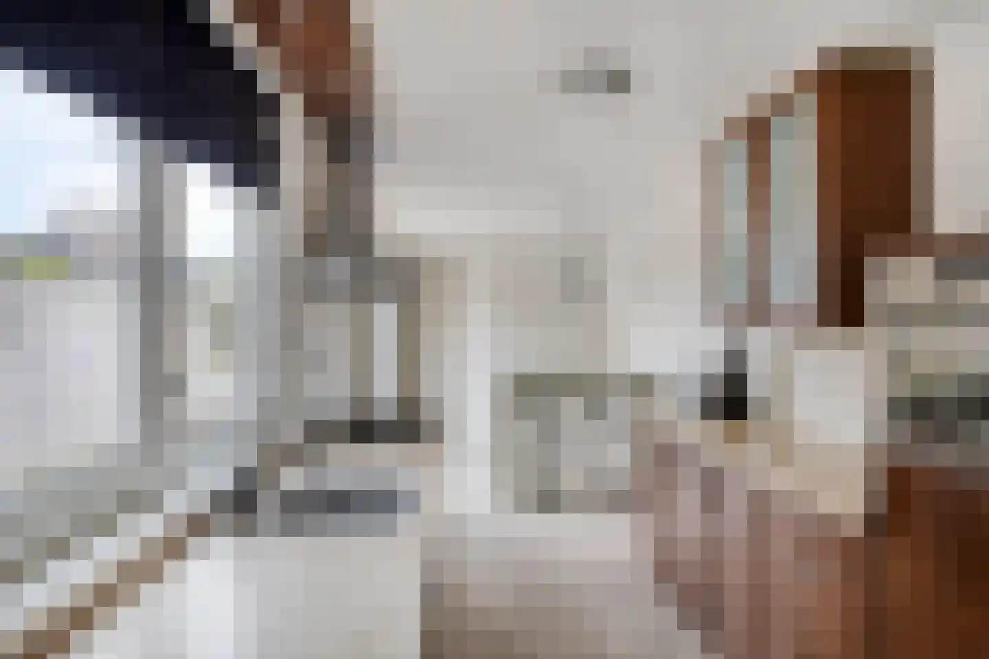 Schoolstraat 55 Oss thumbnail 8