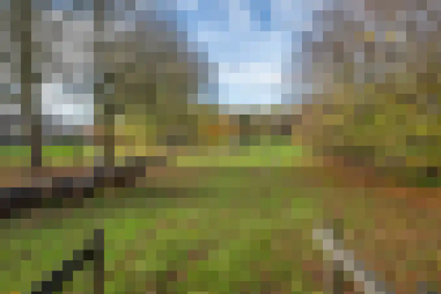 Schoolstraat 57 Stellendam thumbnail 35