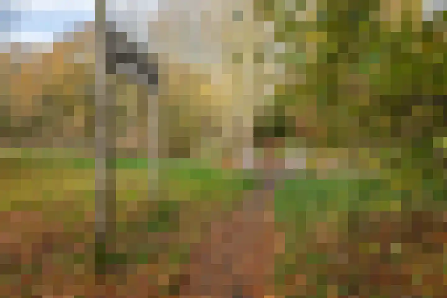 Schoolstraat 57 Stellendam thumbnail 36