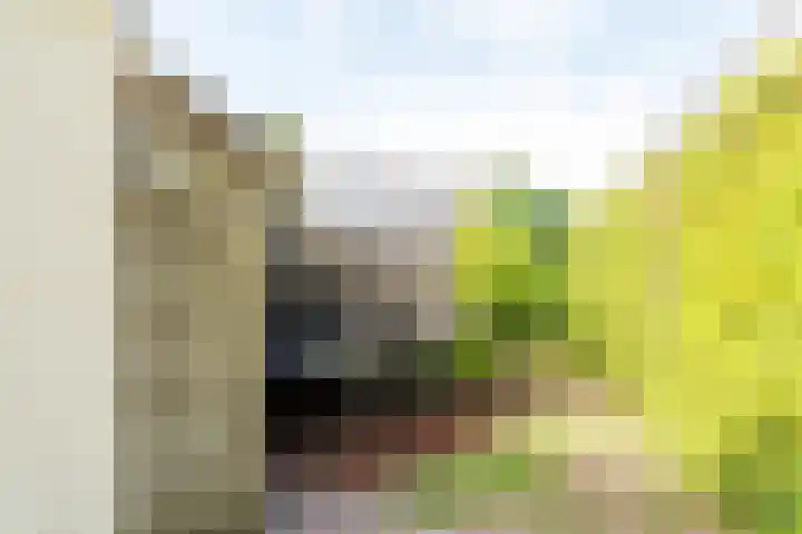 Schoolstraat 6 a Ochten thumbnail 41