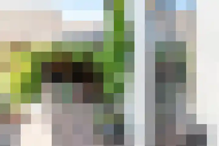 Schoolstraat 6 a Ochten thumbnail 70
