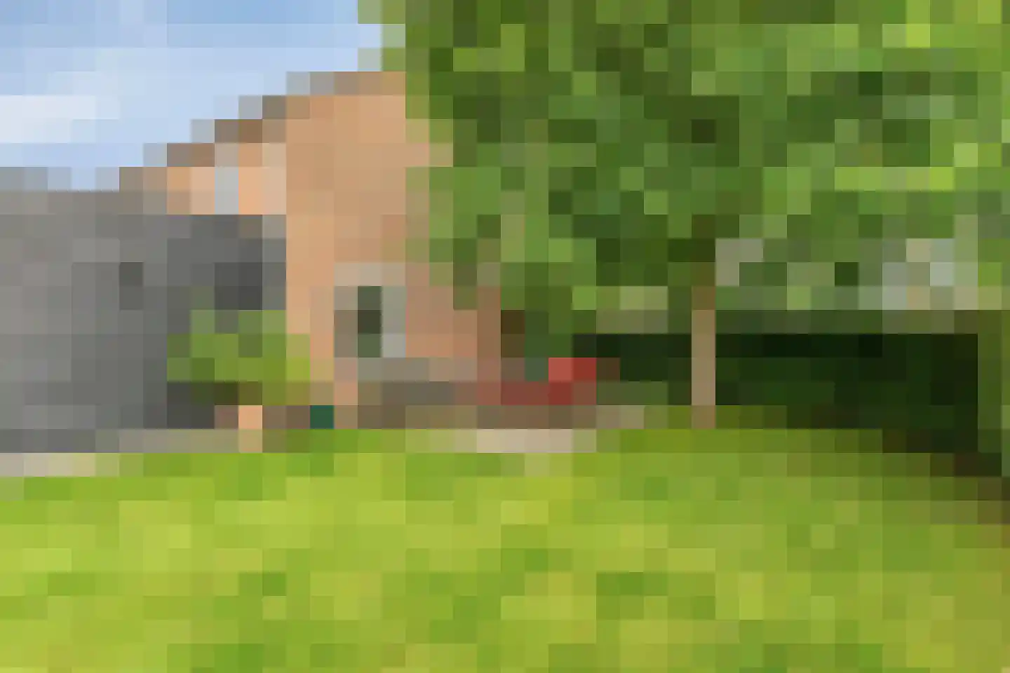 Schoolstraat 6 Aarle-Rixtel thumbnail 25
