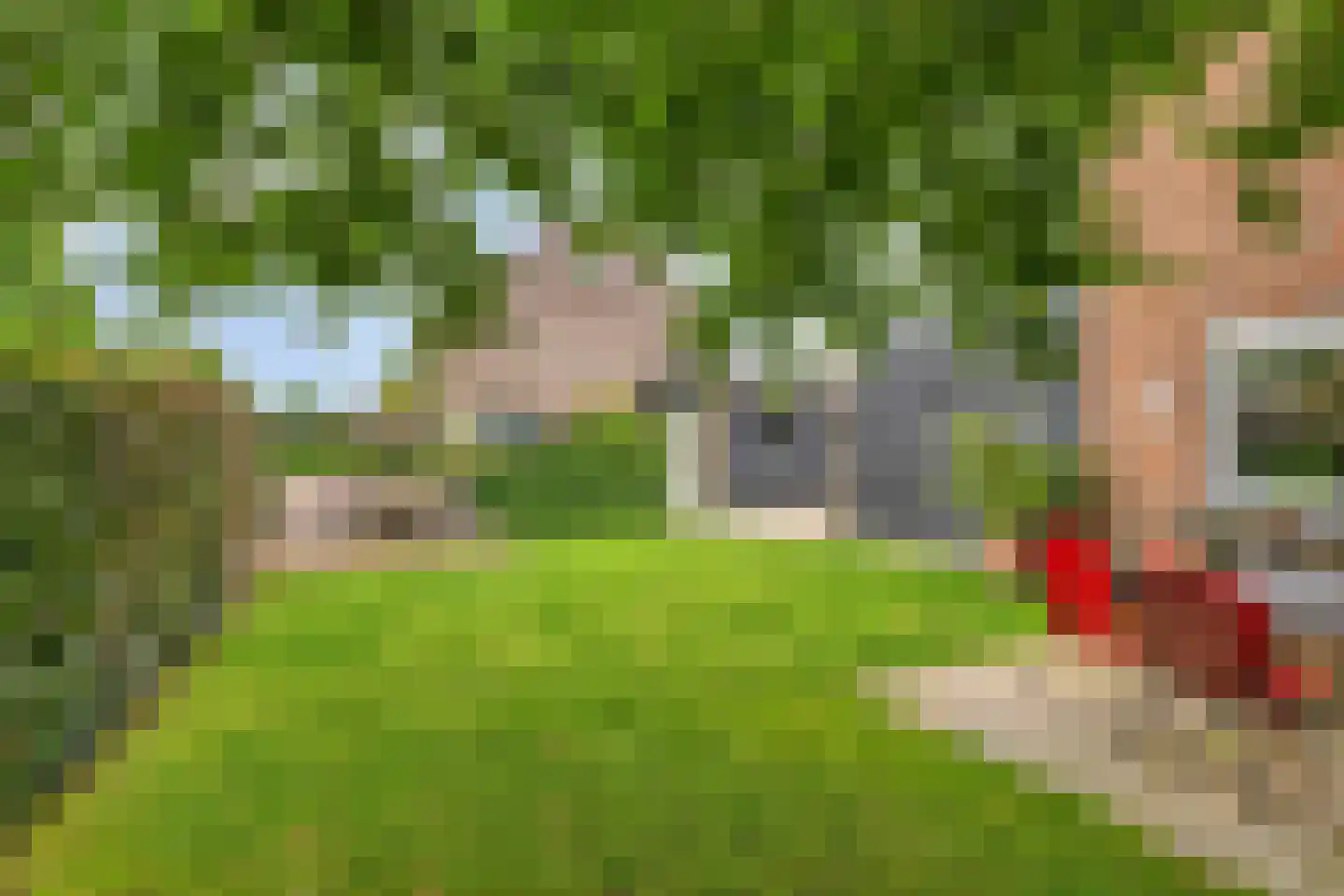 Schoolstraat 6 Aarle-Rixtel thumbnail 5